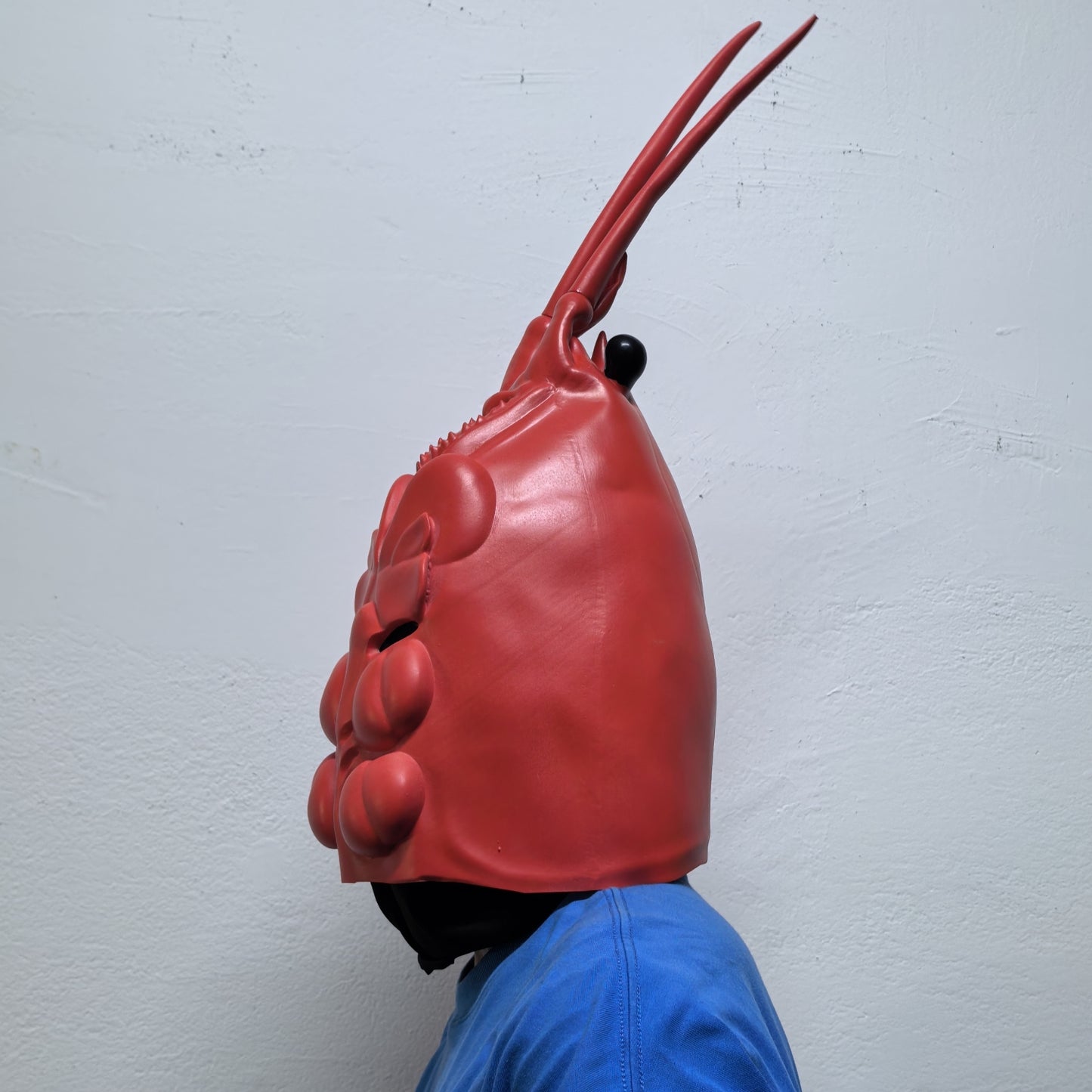 Adult Full Head Rubber Lobster Mask Crawfish Funny Party Cosplay Accessory Animal Mask for Grown-ups