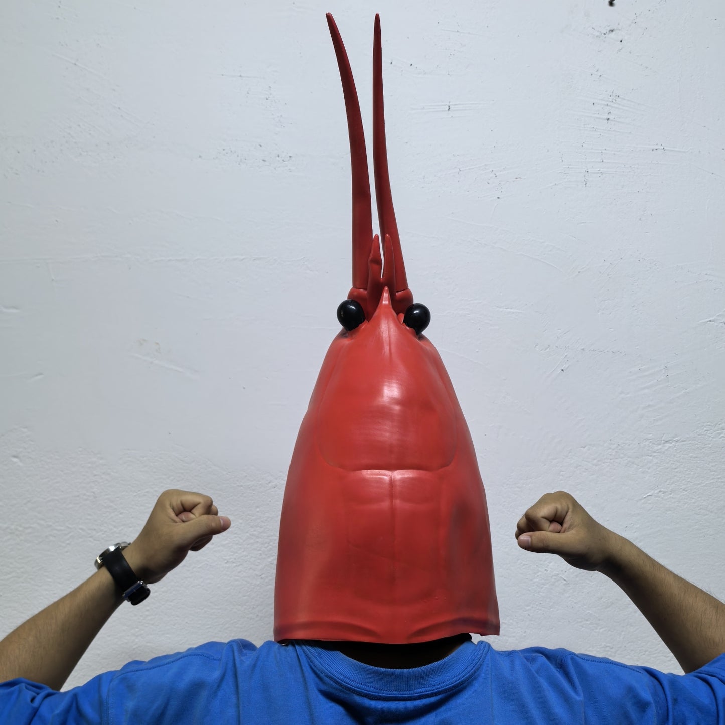 Adult Full Head Rubber Lobster Mask Crawfish Funny Party Cosplay Accessory Animal Mask for Grown-ups