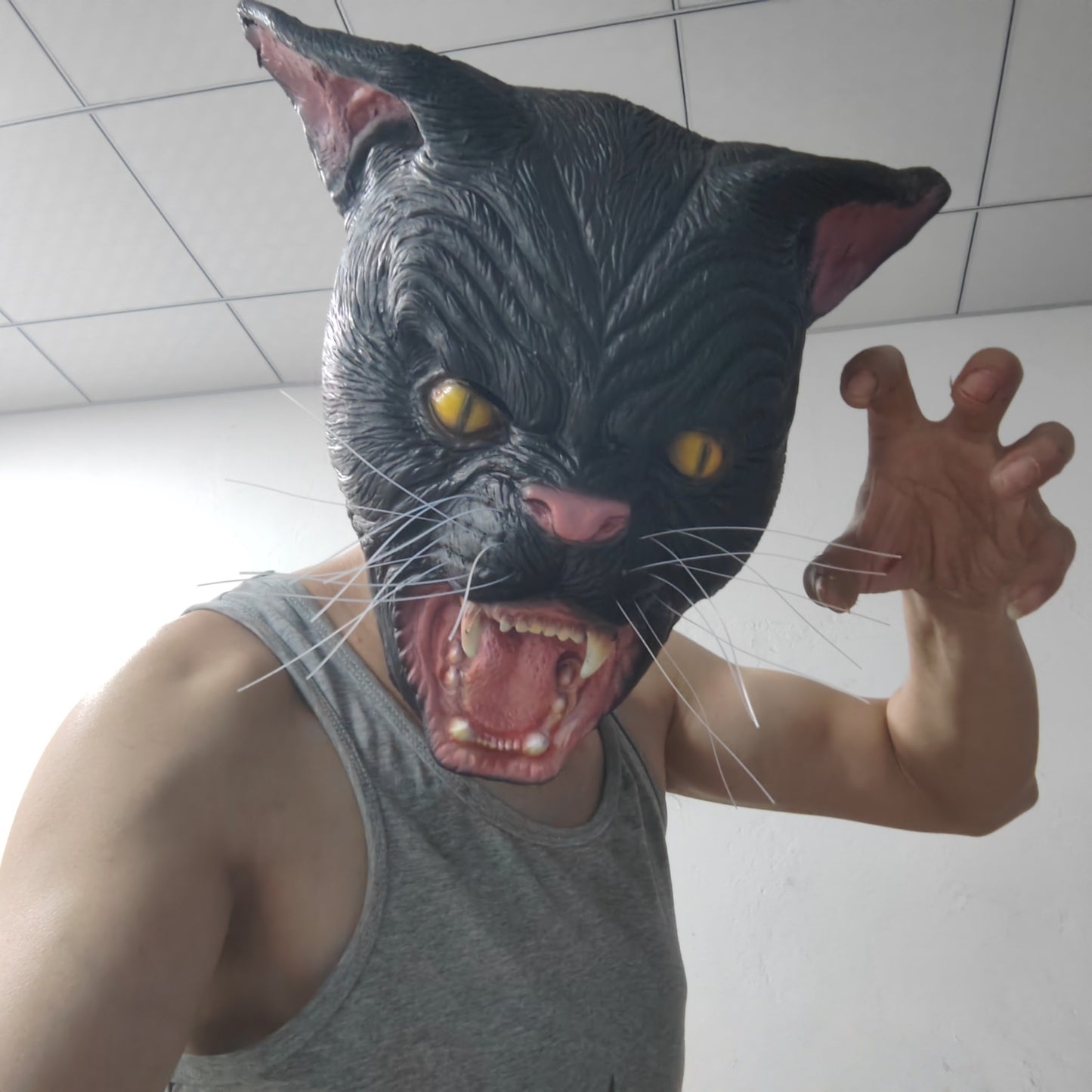 Black Cat Mask with Beard - Funny Animal Cosplay Accessory Rubber Realistic Party Mask for All Ages