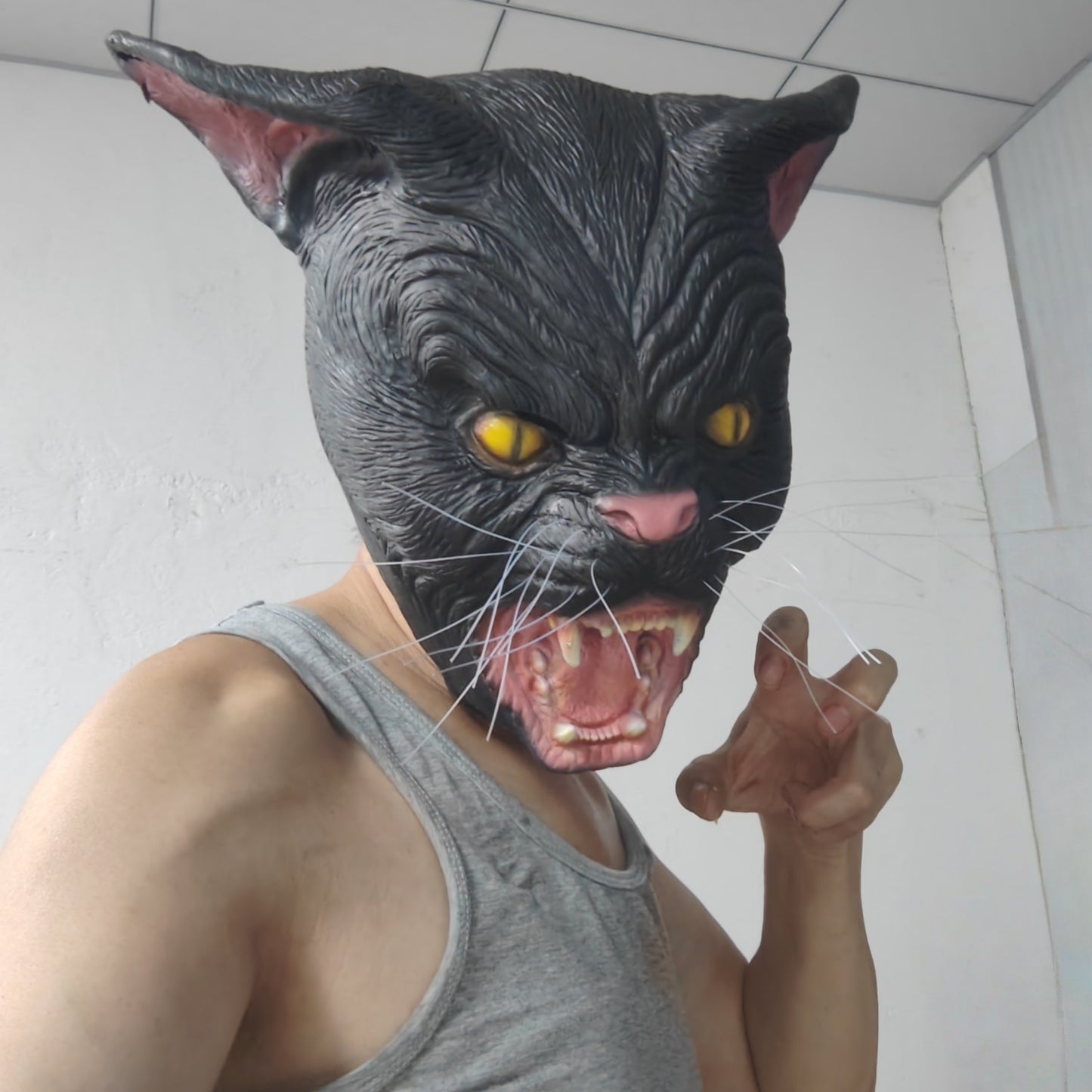 Black Cat Mask with Beard - Funny Animal Cosplay Accessory Rubber Realistic Party Mask for All Ages